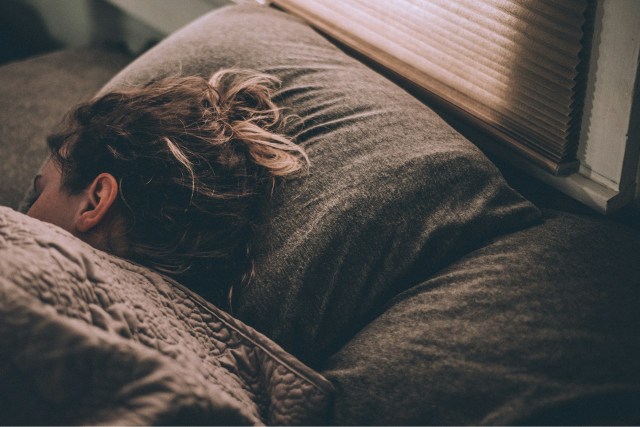 Le sommeil